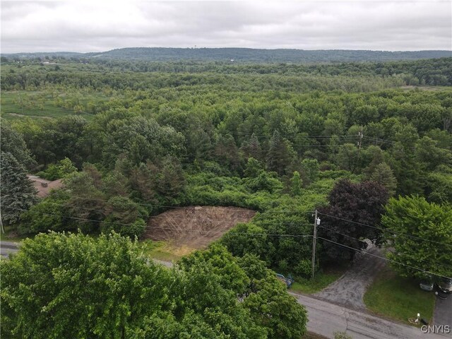 Woodside Dr, Watertown-Town, NY 13601 - photo 5