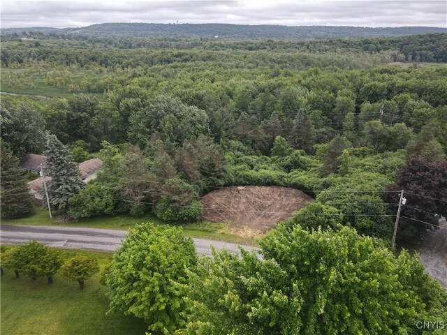 Woodside Dr, Watertown-Town, NY 13601 - photo 8