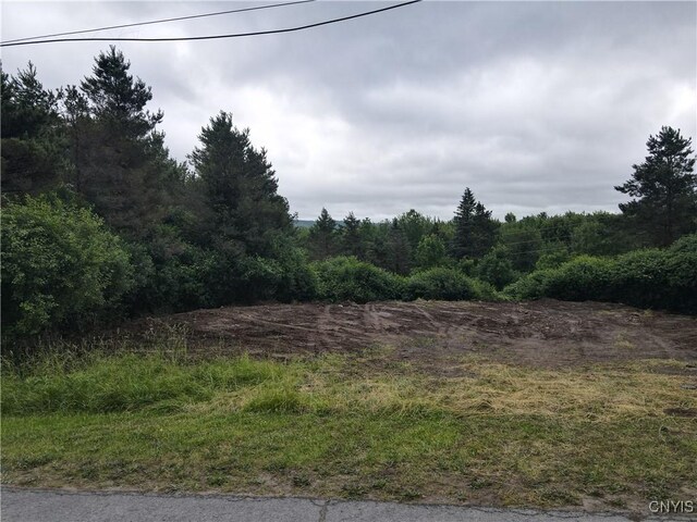 Woodside Dr, Watertown-Town, NY 13601 - photo 12