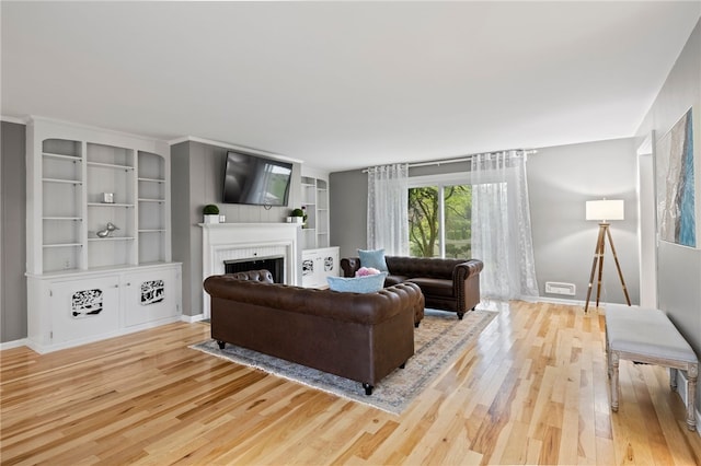 100 Carverdale Dr, Brighton, NY 14618 - living room featuring wood finished floors and a fireplace