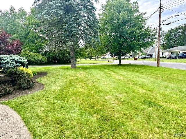 1000 Sherman Dr, Utica, NY 13501 - view of green lawn