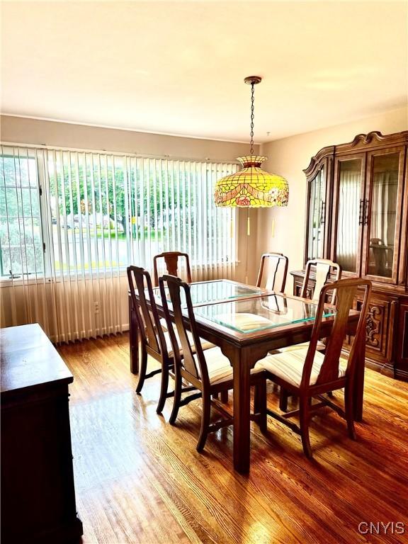 1000 Sherman Dr, Utica, NY 13501 - dining space featuring healthy amount of natural light and wood finished floors