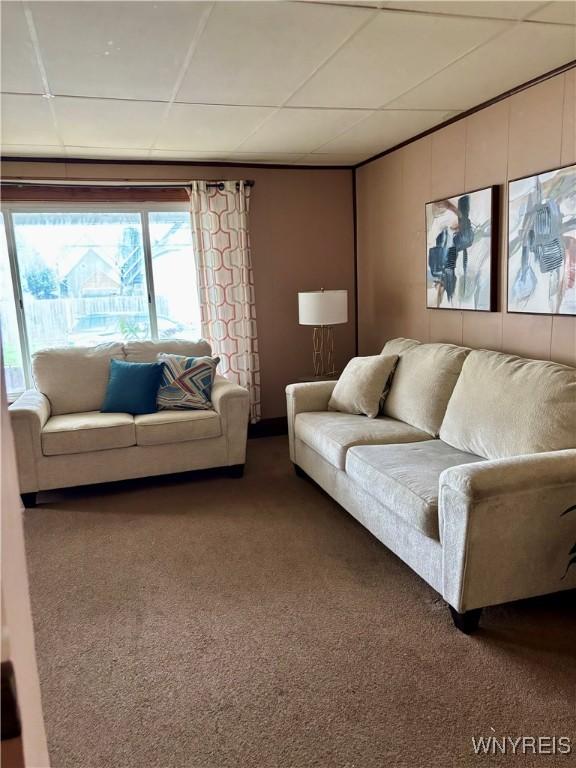 150 Weiss St, Buffalo, NY 14206 - carpeted living area featuring a paneled ceiling