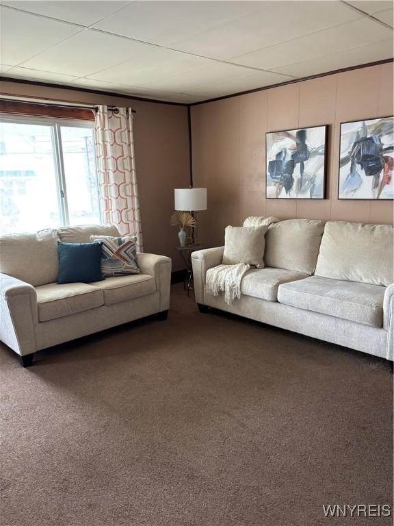 150 Weiss St, Buffalo, NY 14206 - living room with carpet
