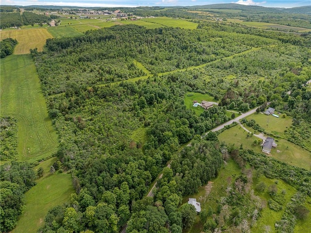 2868 Townsend Rd, Dix, NY 14891