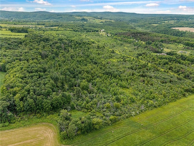 2868 Townsend Rd, Dix, NY 14891