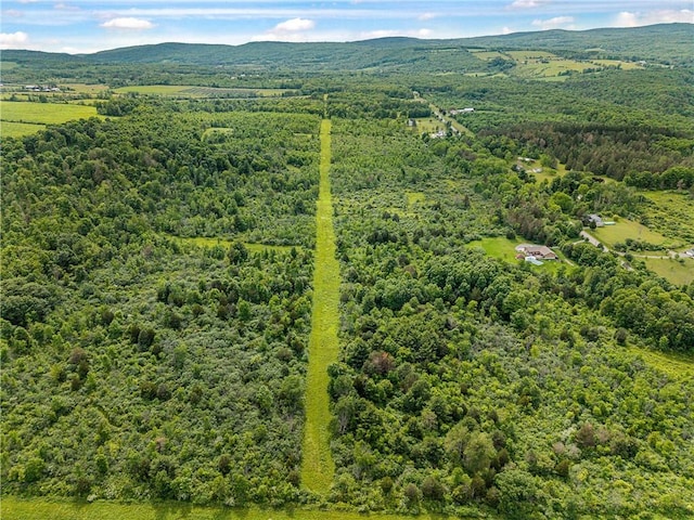 2868 Townsend Rd, Dix, NY 14891