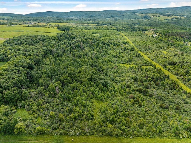 2868 Townsend Rd, Dix, NY 14891