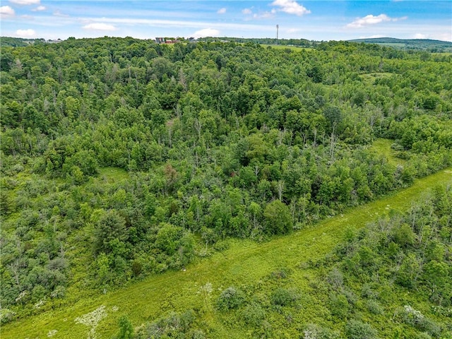 2868 Townsend Rd, Dix, NY 14891