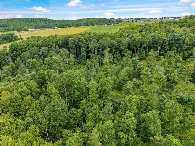 2868 Townsend Rd, Dix, NY 14891