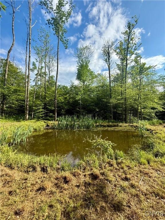 Wales Rd, Sherburne, NY 13460