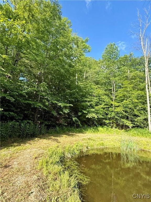 Wales Rd, Sherburne, NY 13460