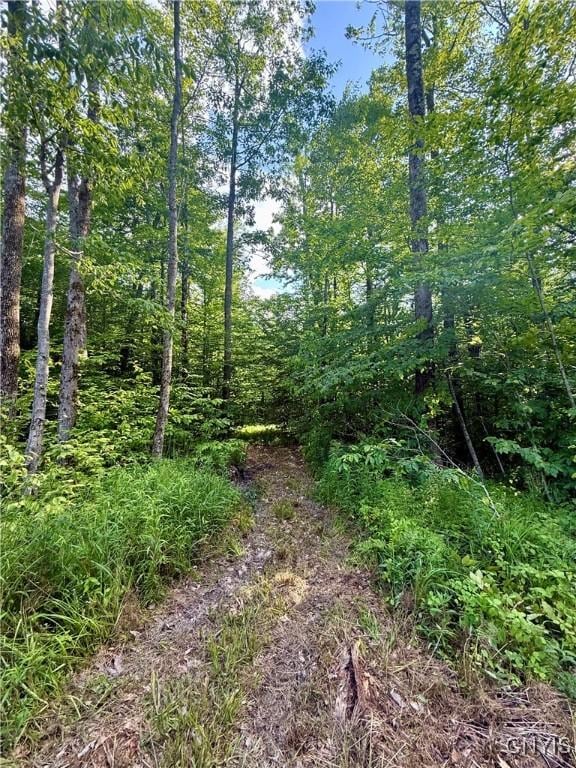 Wales Rd, Sherburne, NY 13460