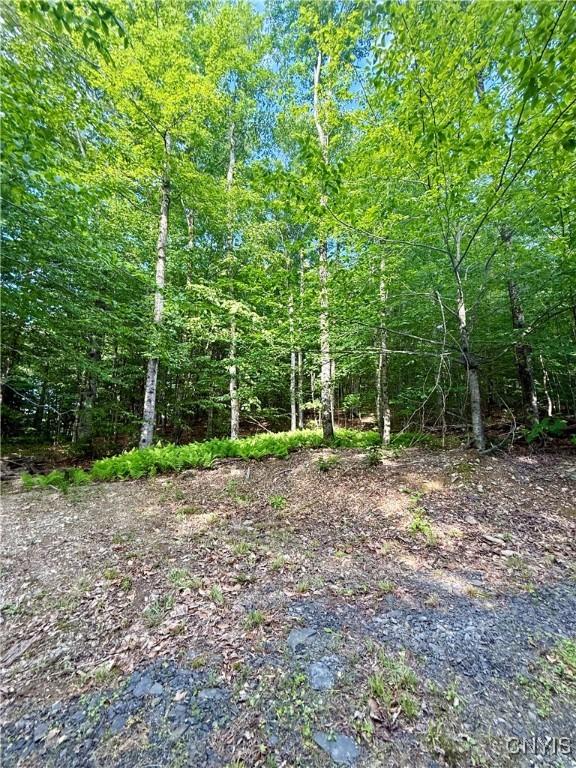 Wales Rd, Sherburne, NY 13460