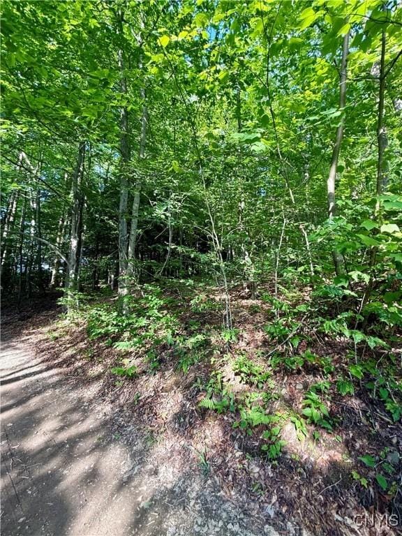 Wales Rd, Sherburne, NY 13460