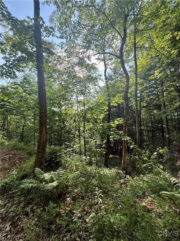 Wales Rd, Sherburne, NY 13460