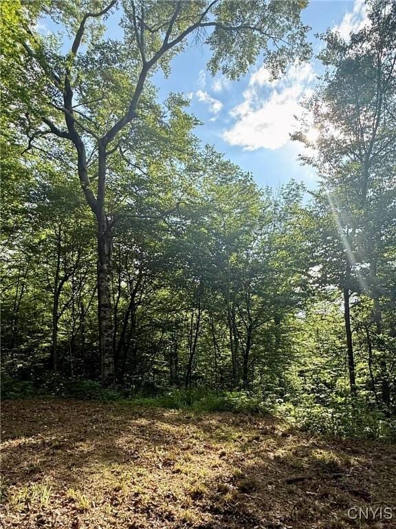 Wales Rd, Sherburne, NY 13460