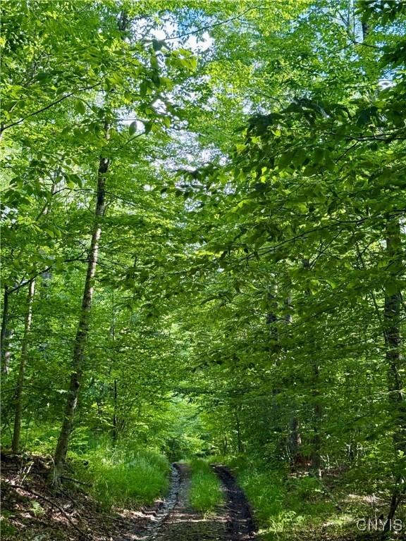 Wales Rd, Sherburne, NY 13460