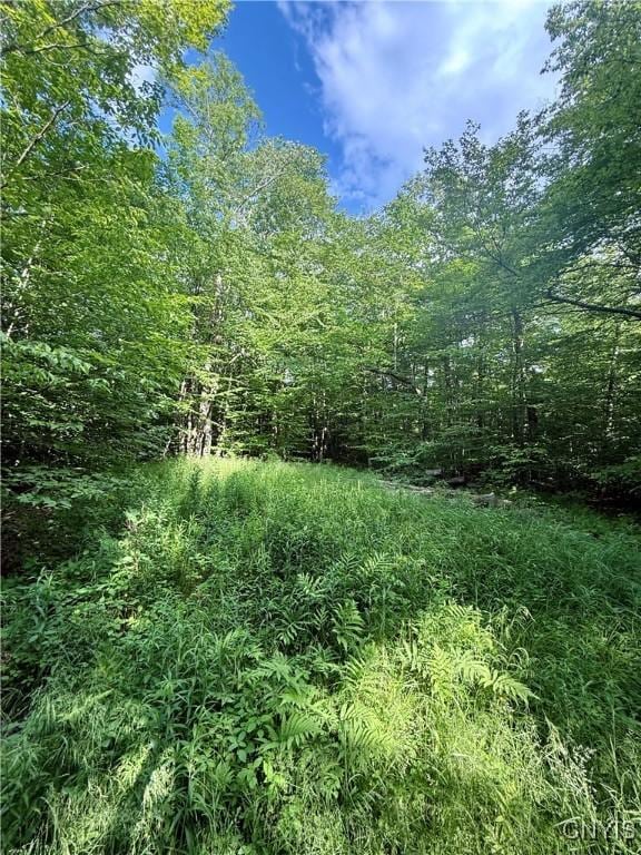 Wales Rd, Sherburne, NY 13460