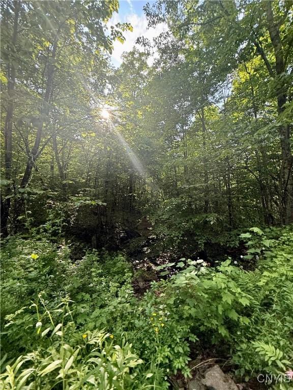 Wales Rd, Sherburne, NY 13460