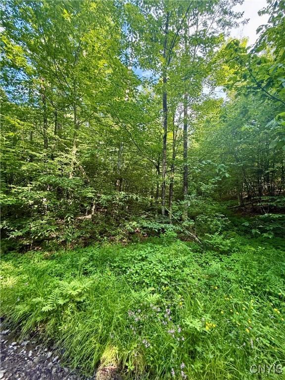 Wales Rd, Sherburne, NY 13460