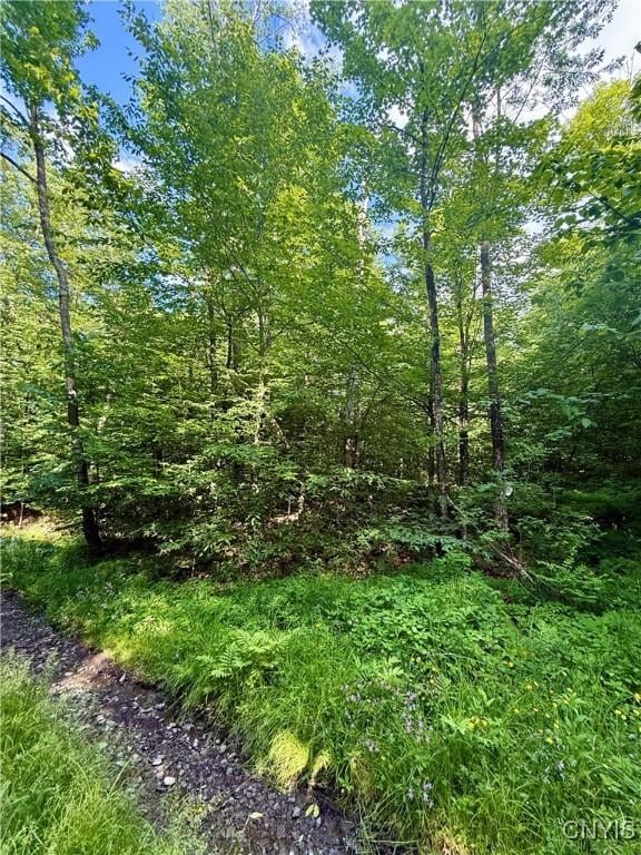 Wales Rd, Sherburne, NY 13460