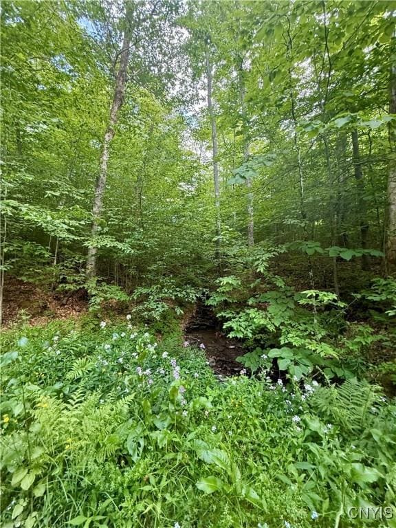 Wales Rd, Sherburne, NY 13460