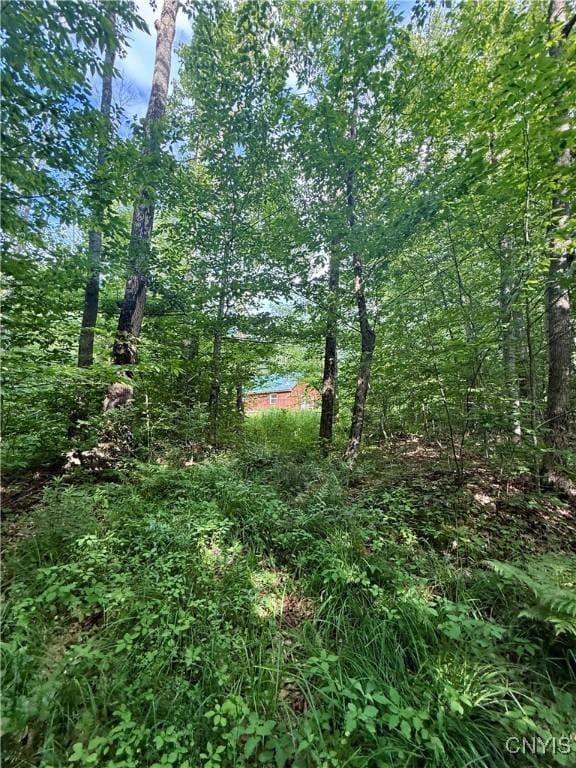 Wales Rd, Sherburne, NY 13460
