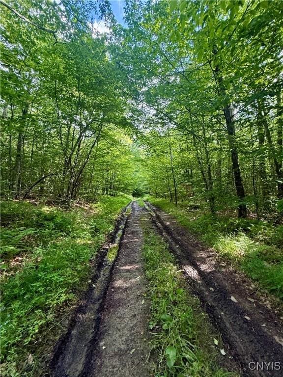 Wales Rd, Sherburne, NY 13460