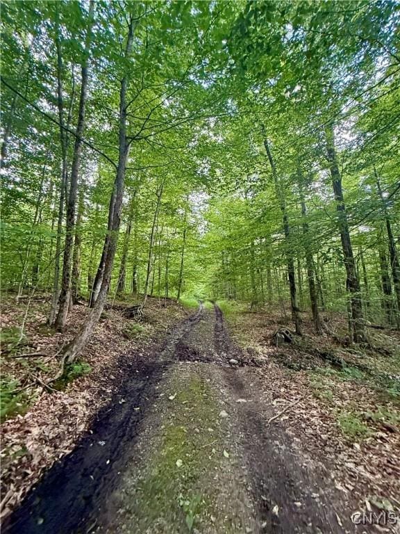 Wales Rd, Sherburne, NY 13460