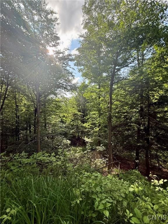 Wales Rd, Sherburne, NY 13460