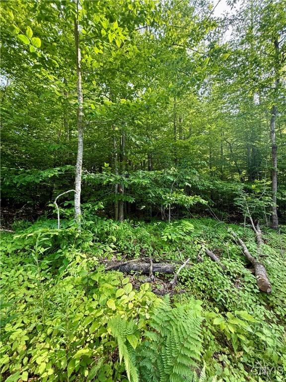 Wales Rd, Sherburne, NY 13460