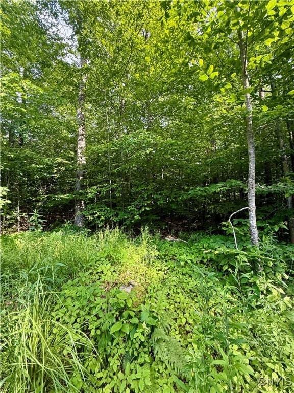 Wales Rd, Sherburne, NY 13460