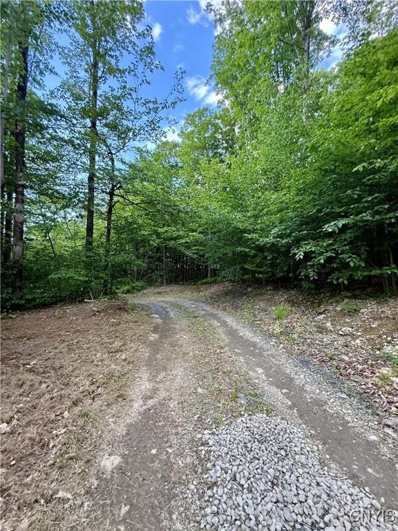 Wales Rd, Sherburne, NY 13460