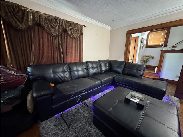 714 Arnett Blvd, Rochester, NY 14619 - living area with a textured ceiling, wood finished floors, and crown molding
