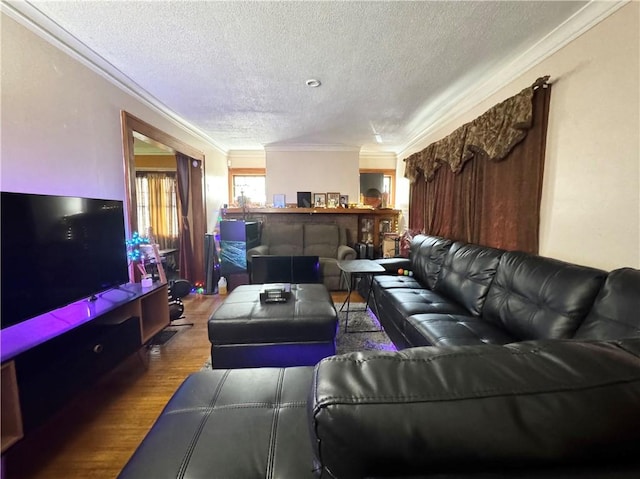 714 Arnett Blvd, Rochester, NY 14619 - living area featuring ornamental molding, a textured ceiling, and wood finished floors