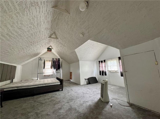 714 Arnett Blvd, Rochester, NY 14619 - unfurnished bedroom featuring a textured ceiling, carpet, and vaulted ceiling