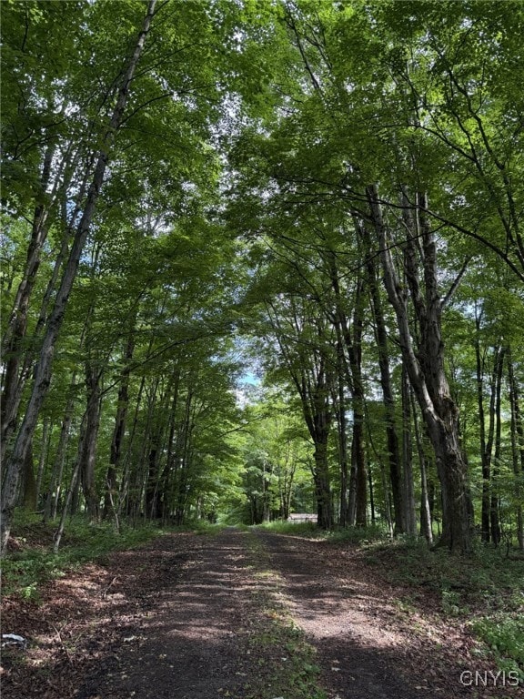 Mooney Gulf Rd S, Lorraine, NY 13659