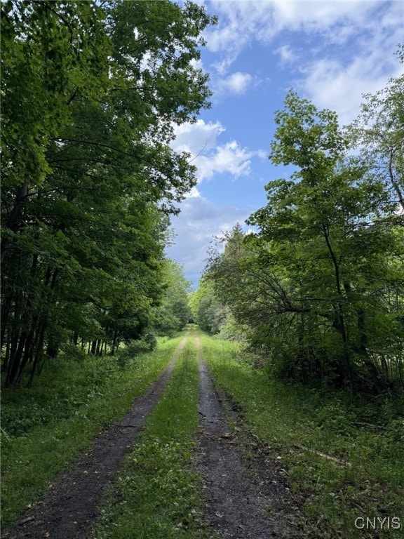 Mooney Gulf Rd S, Lorraine, NY 13659