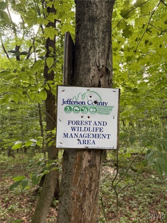 Mooney Gulf Rd S, Lorraine, NY 13659