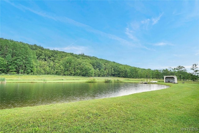 6557 Boberg Rd, Ashford, NY 14171 - water view with a forest