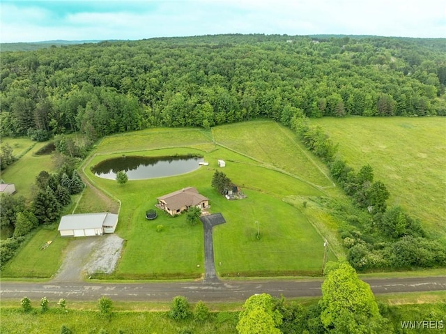 6557 Boberg Rd, Ashford, NY 14171 - bird's eye view of a heavily wooded area and a nearby body of water