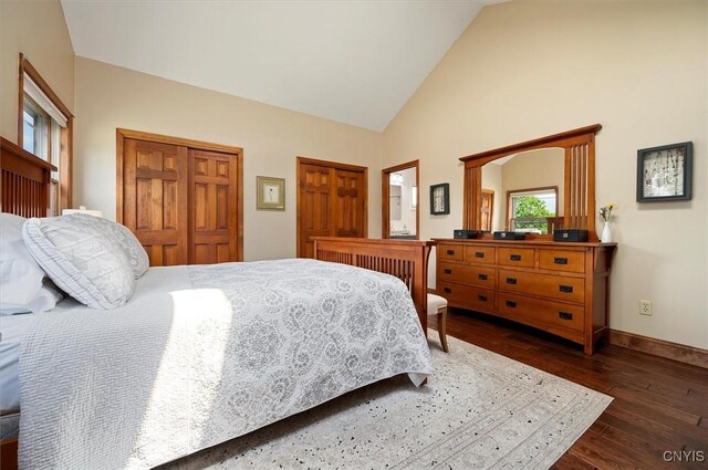 109 Hunt Valley Rd, Oneida-Inside, NY 13421 - bedroom with dark wood-style floors and high vaulted ceiling