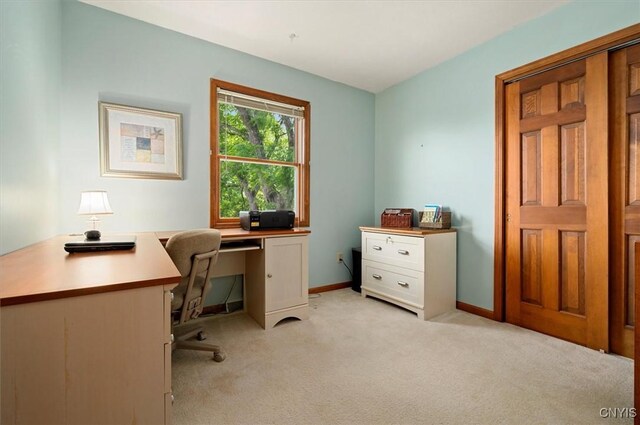 109 Hunt Valley Rd, Oneida-Inside, NY 13421 - home office featuring light carpet and baseboards