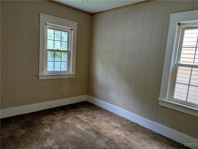 305 S Midler Ave, Syracuse, NY 13206 - carpeted spare room featuring crown molding and wooden walls
