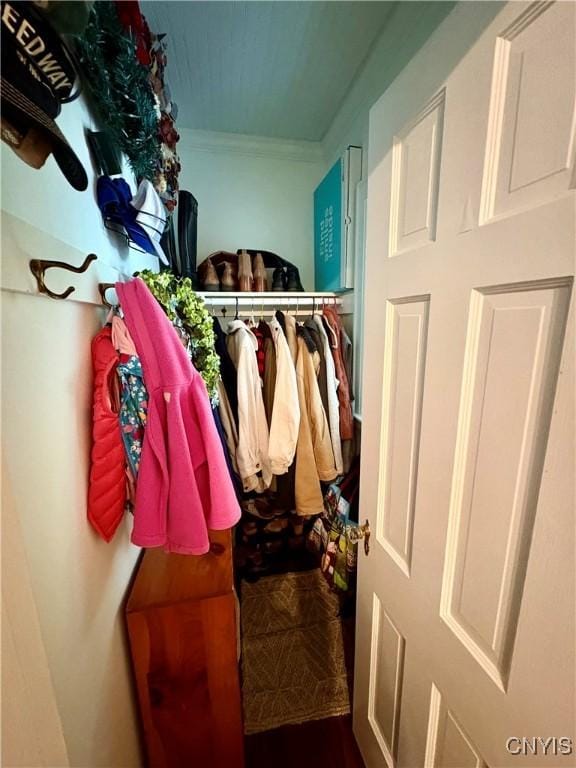 308 Haddonfield Dr, Dewitt, NY 13214 - mudroom featuring crown molding