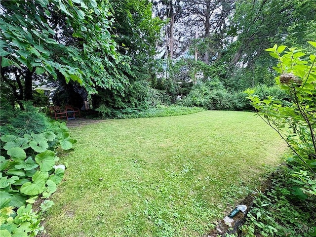 308 Haddonfield Dr, Dewitt, NY 13214 - view of green lawn