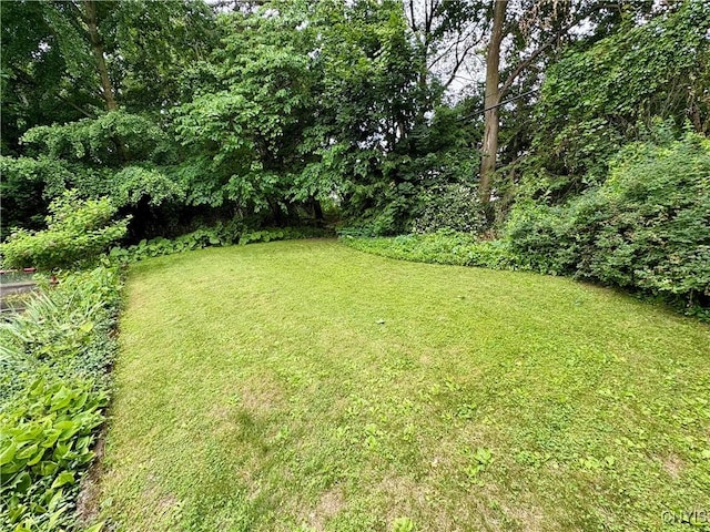 308 Haddonfield Dr, Dewitt, NY 13214 - view of green lawn