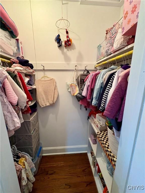 308 Haddonfield Dr, Dewitt, NY 13214 - spacious closet with wood finished floors
