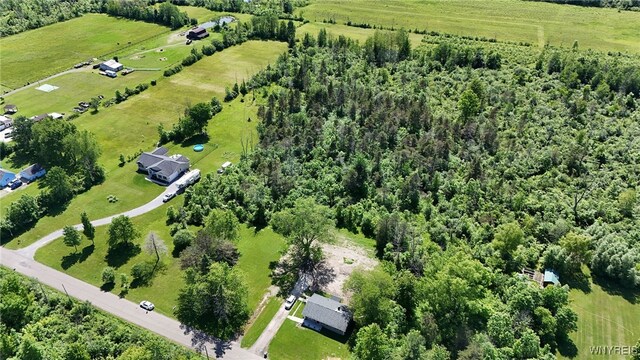 7714 Decker Rd, Evans, NY 14047 - photo 4